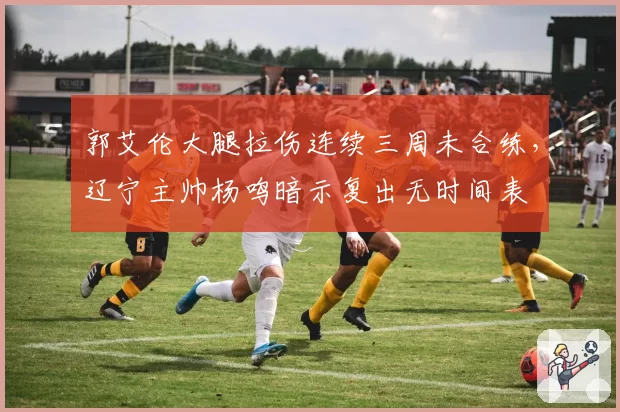 郭艾伦大腿拉伤连续三周未合练，辽宁主帅杨鸣暗示复出无时间表