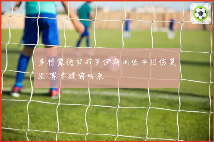 多特蒙德宣布罗伊斯训练中旧伤复发 赛季提前结束